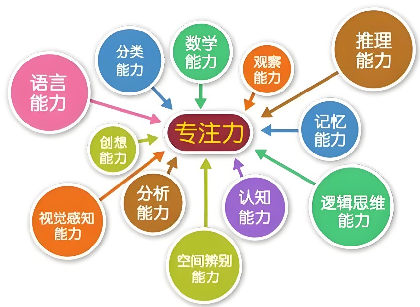 3-6岁孩子专注力训练(图1)