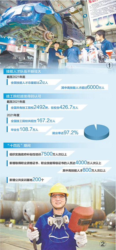 中国血统(图1)